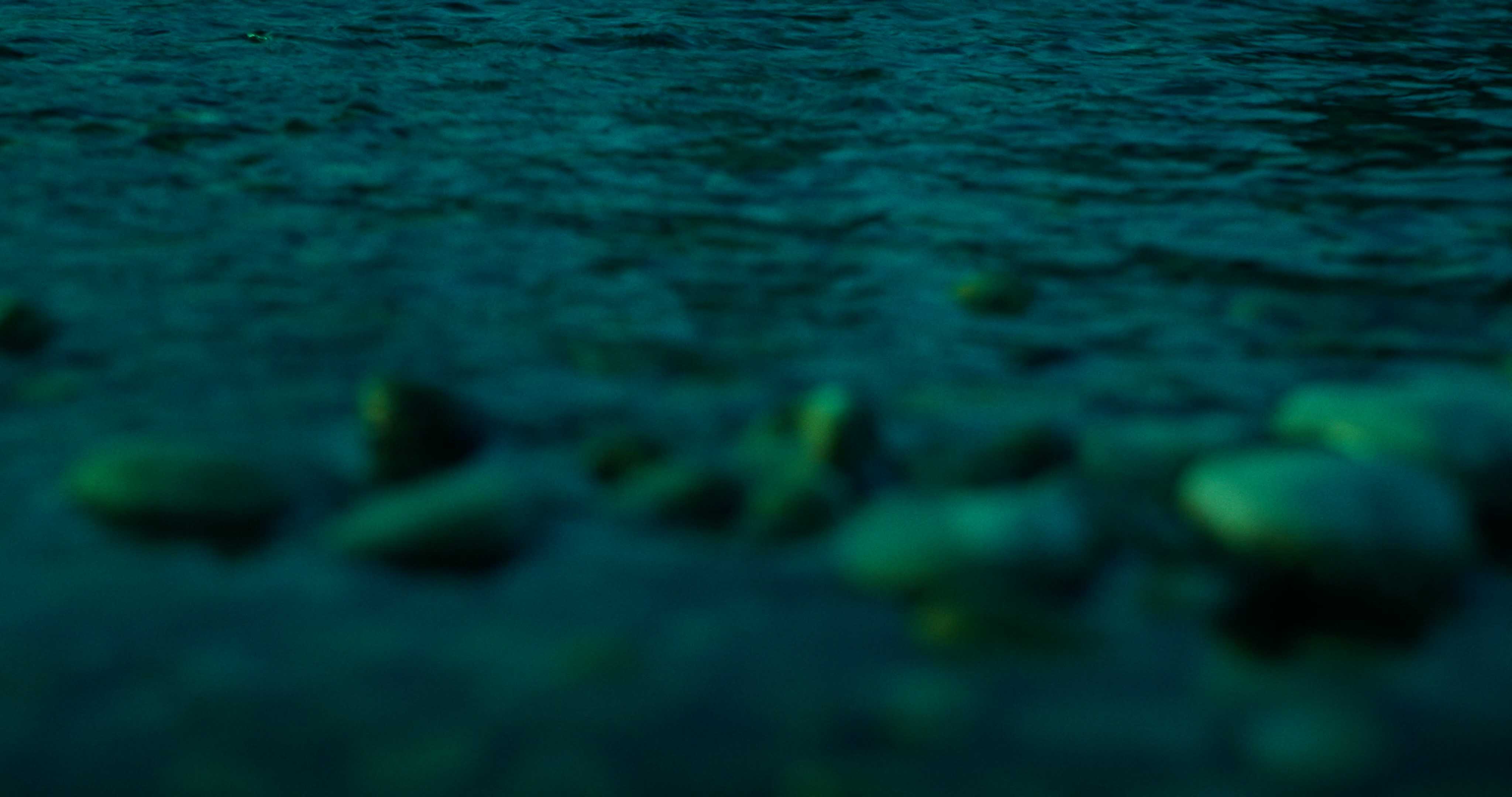 Macro detail: red-lit paddle shifter on a steering wheel, silhouetted against dark blue background.